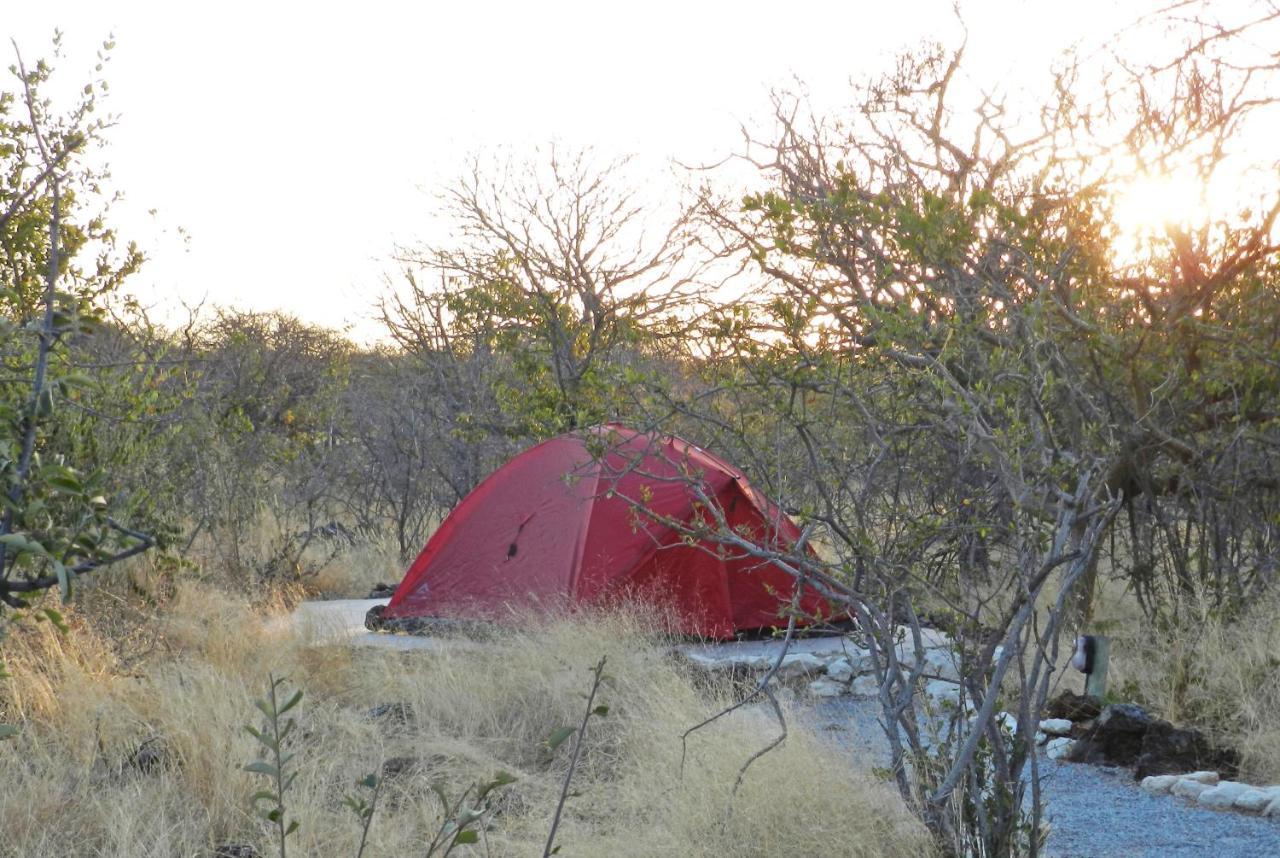 Etosha Village Campsite Okaukuejo Exterior foto